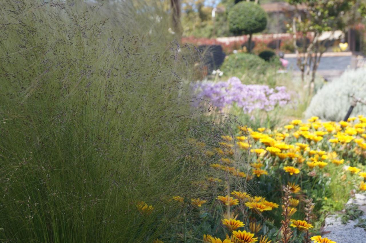 Les Jardins De Santa Giulia - Charmante Chambre D'Hote Porto-Vecchio  Kültér fotó