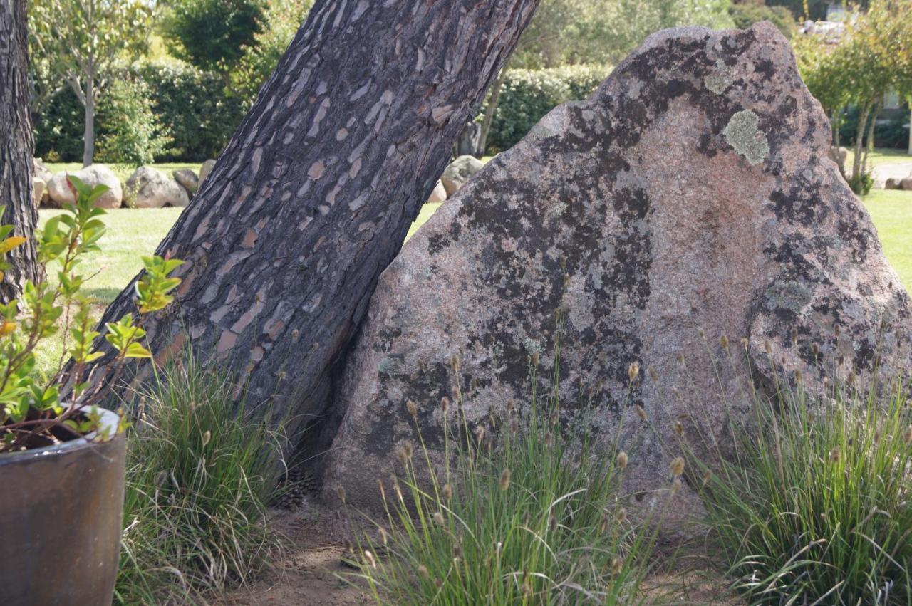 Les Jardins De Santa Giulia - Charmante Chambre D'Hote Porto-Vecchio  Kültér fotó