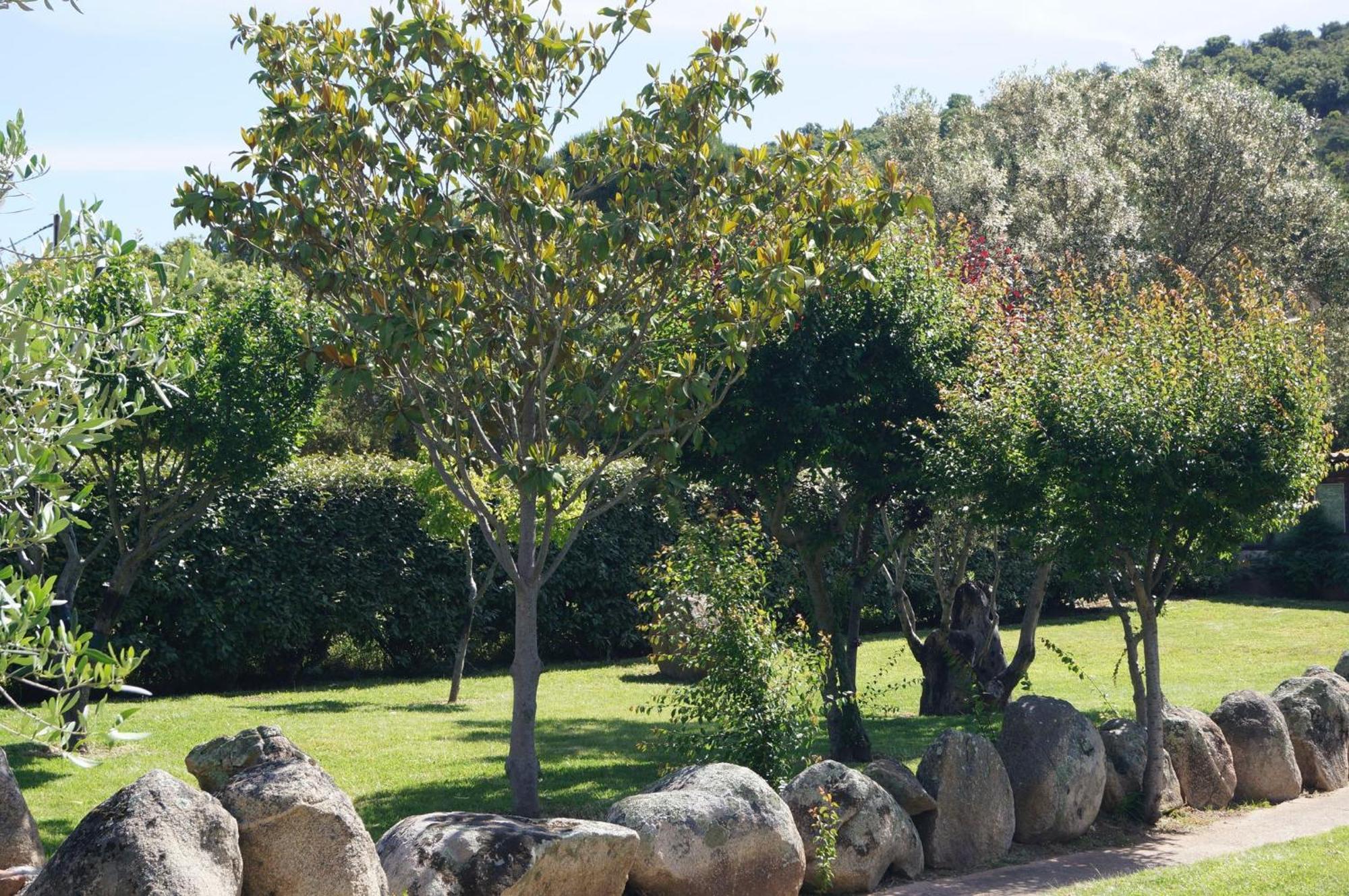 Les Jardins De Santa Giulia - Charmante Chambre D'Hote Porto-Vecchio  Kültér fotó